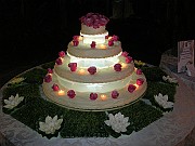 torte_nuziali (18)